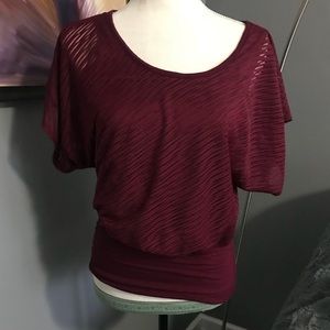 Sheer Sleeved Blouse